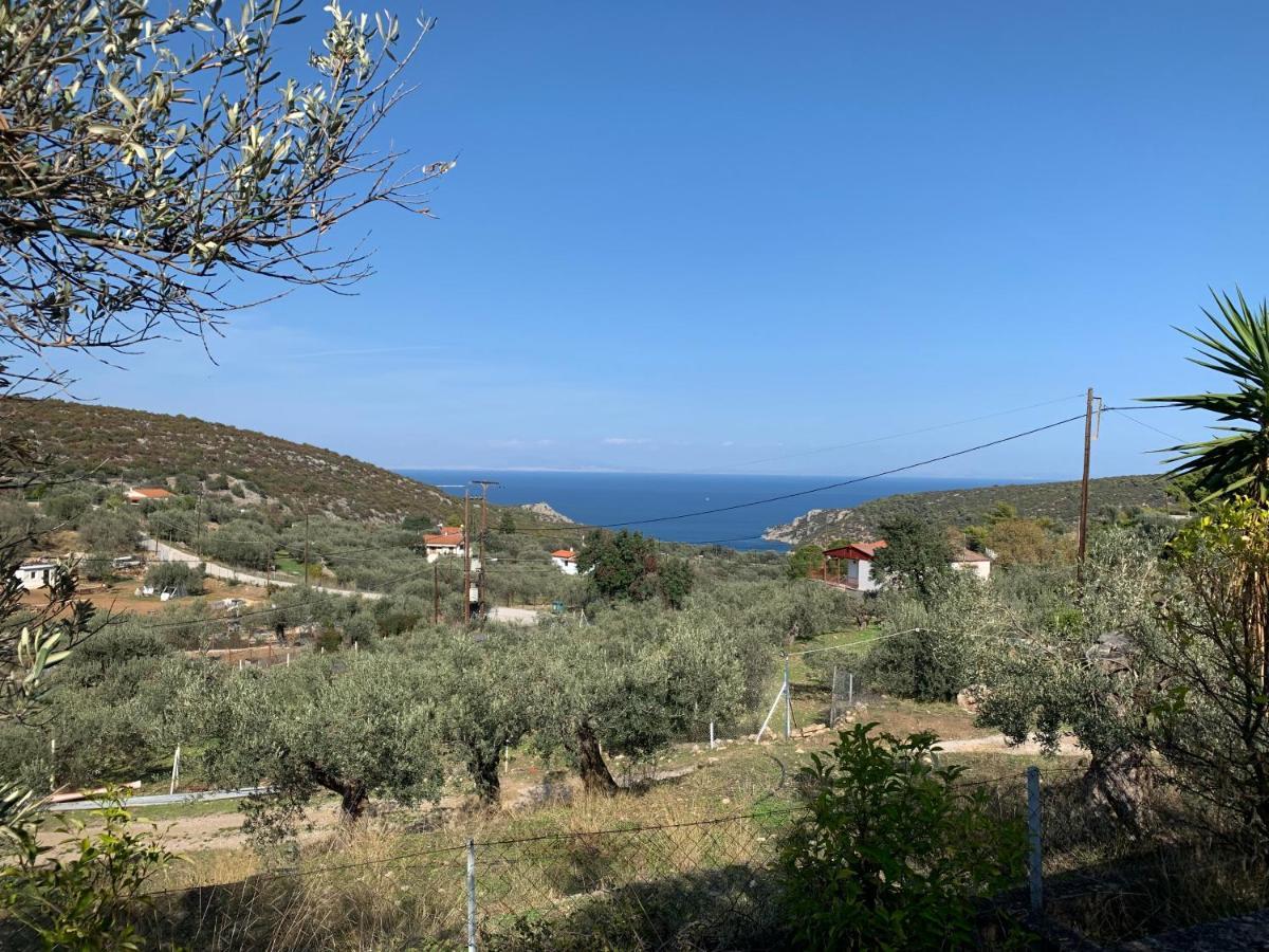 Olive Hill Private House Poros Town Exterior foto
