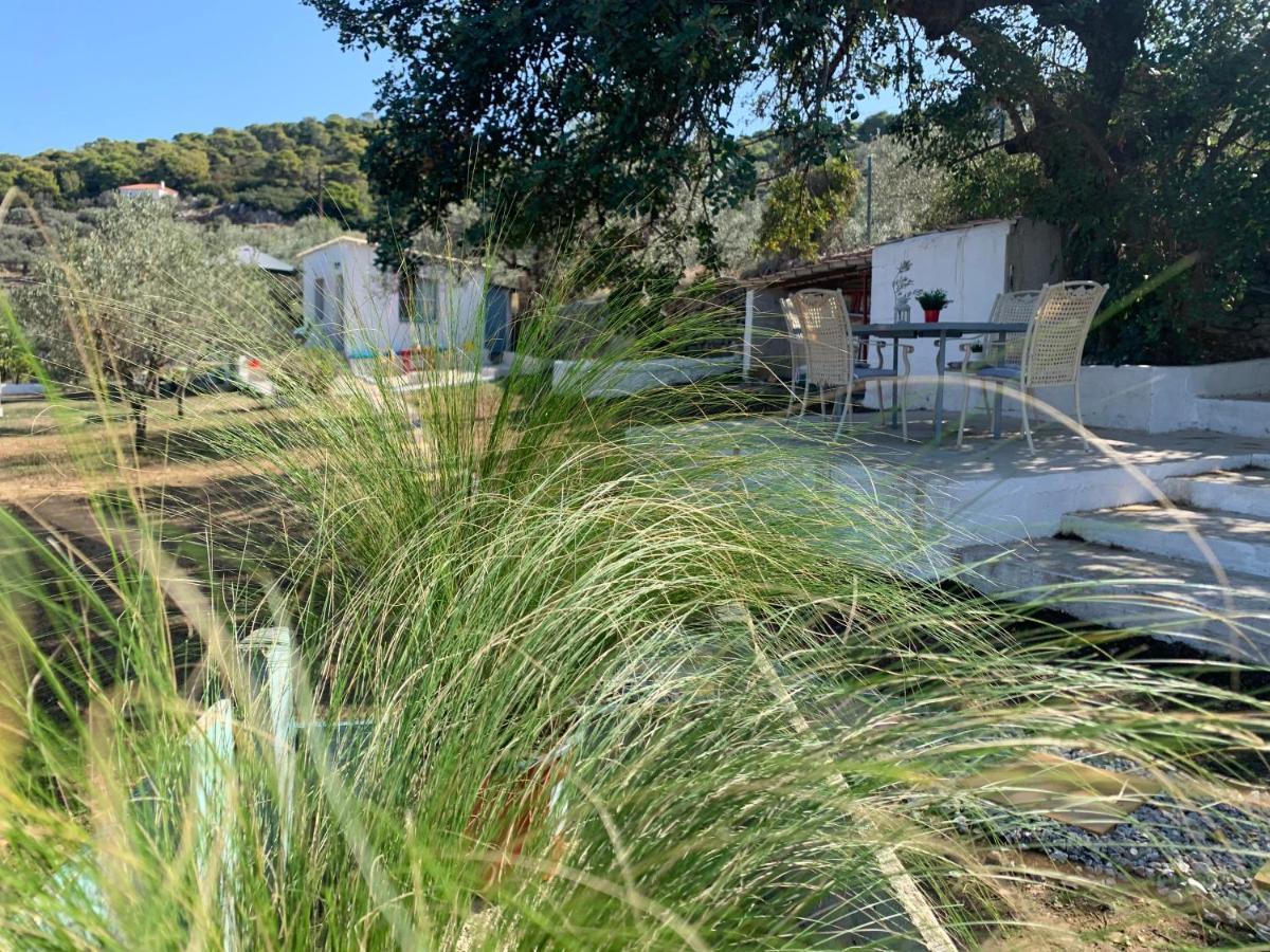 Olive Hill Private House Poros Town Exterior foto
